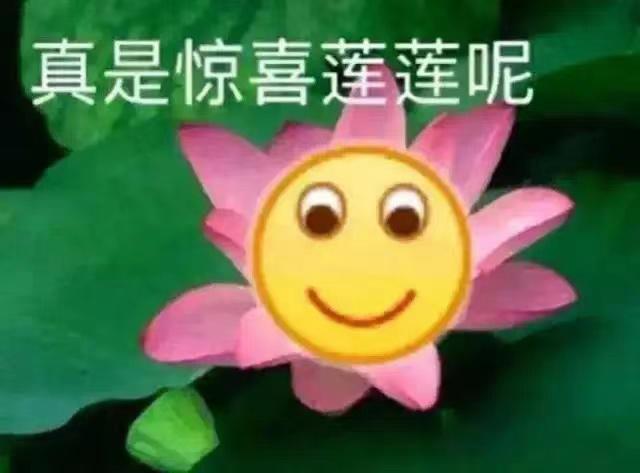 DƬ